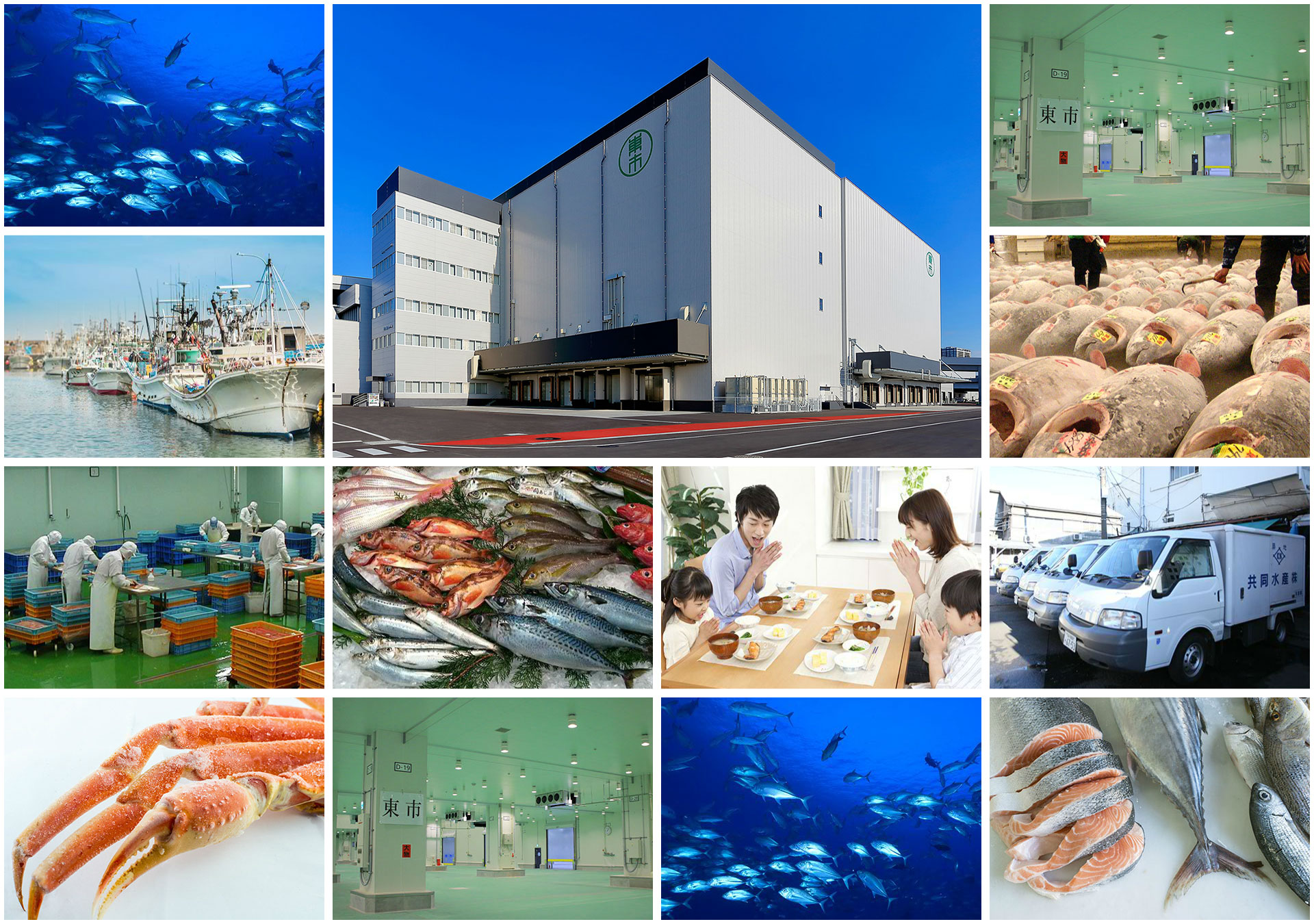 Based on the customers’ confidence, Toichi Group pursues the innovation of global supply chain for marine products covering all over the world.